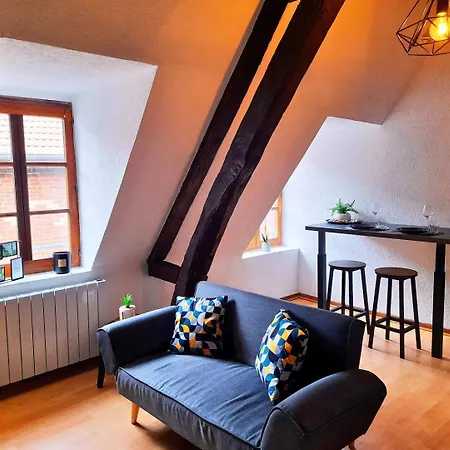 아파트 L'authentique - Cosy En Hyper Centre *